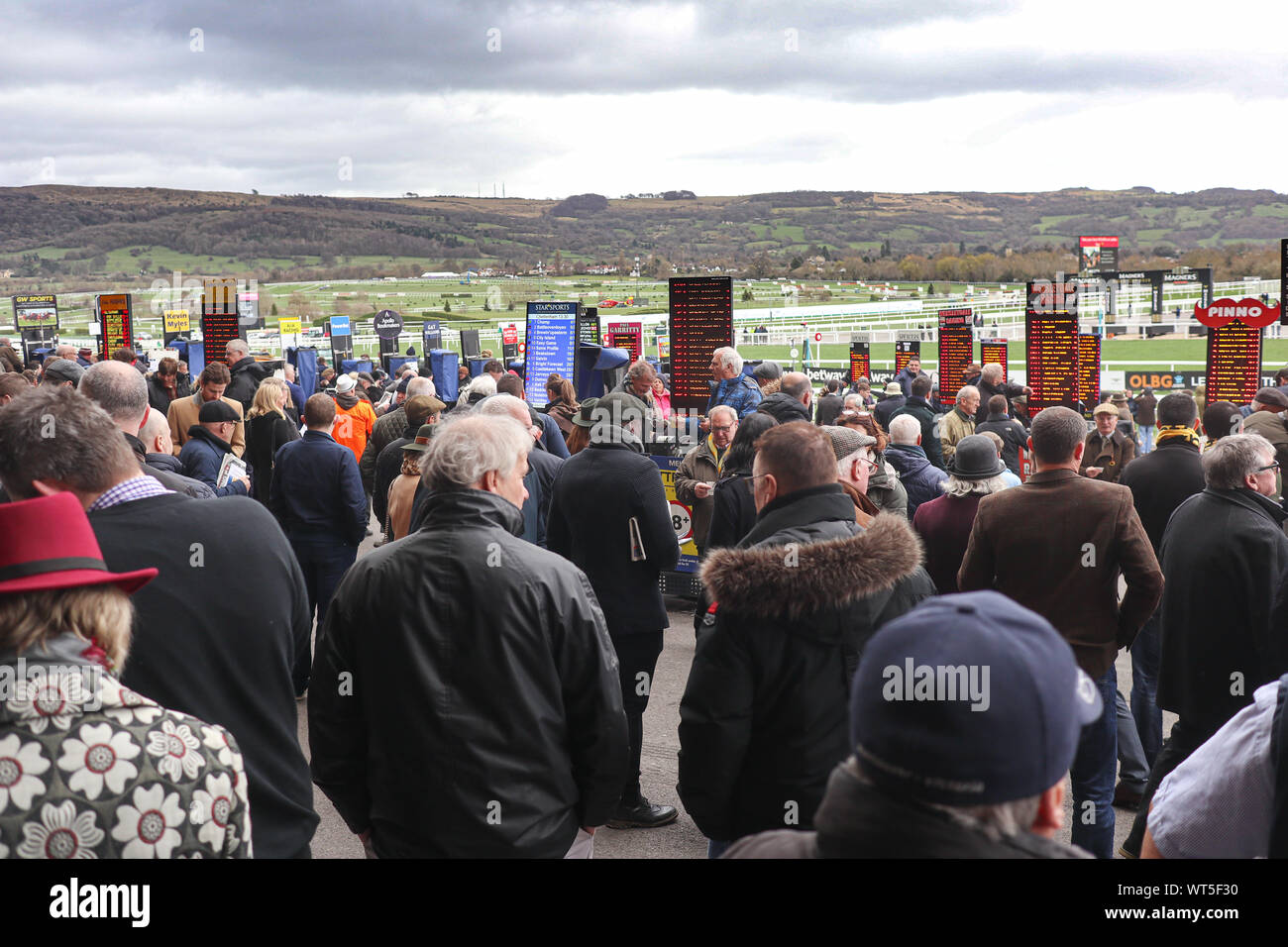 Menschenmassen versammeln sich am weltberühmten Cheltenham Festival. Der britische Premier National Hunt Rennen treffen und ein Mekka für eine Armee von Reisen Irish fans Stockfoto