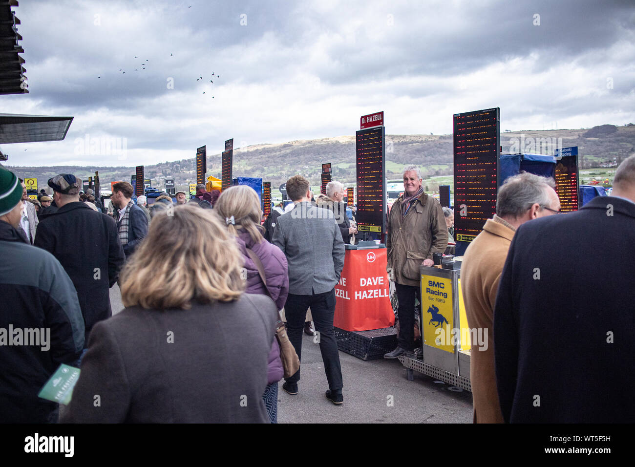 Menschenmassen versammeln sich am weltberühmten Cheltenham Festival. Der britische Premier National Hunt Rennen treffen und ein Mekka für eine Armee von Reisen Irish fans Stockfoto