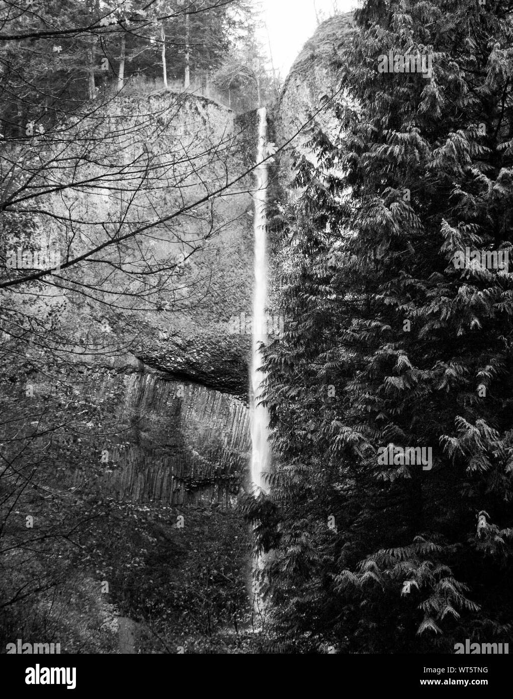 Schönen Wasserfall inmitten von Bäumen in der Cascade Range Stockfoto