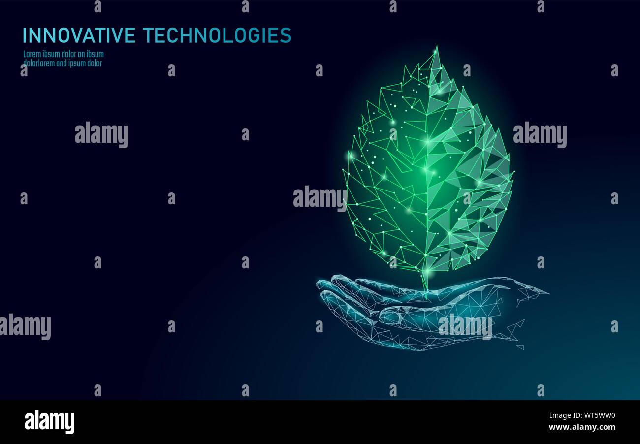 Hand, grüne Pflanze Blatt ökologische abstraktes Konzept. Speichern planet Natur Umwelt Banner. Eco polygon Dreiecke poly niedrige Vector Illustration Stock Vektor