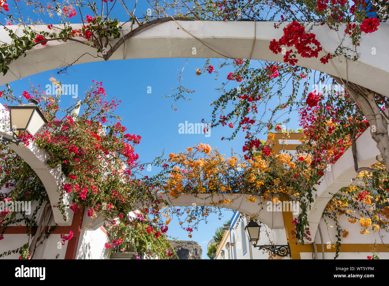 Flower Decoration Houses In Mediterranean Stockfotos