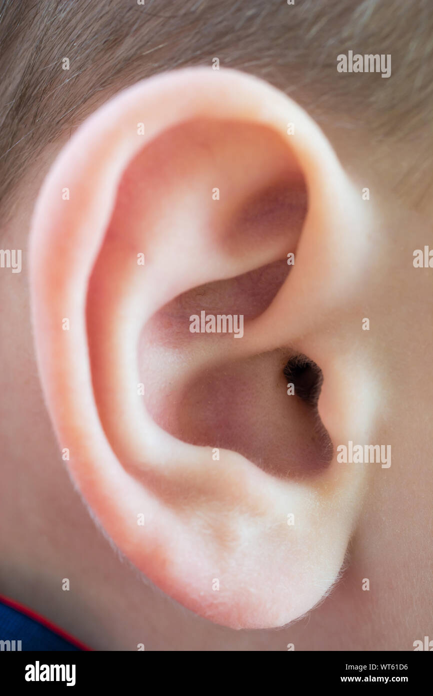 Das äußere Ohr eines Kindes im Detail Stockfoto