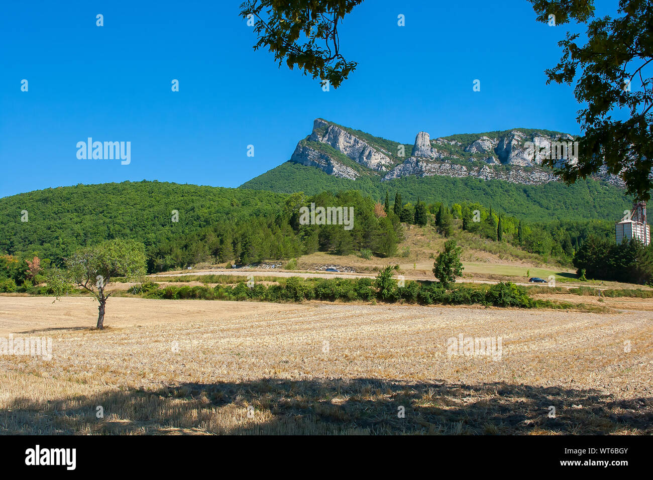 Kalkstein Berggipfel und clifffs mit Blick auf einen Nadelwald in die Region Drome provencale inFrance Stockfoto