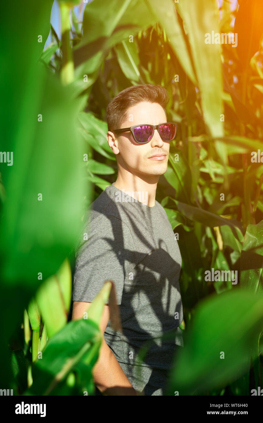 Porträt eines jungen Mannes mit Sonnenbrille in der Mitte des Mais Plantage Stockfoto