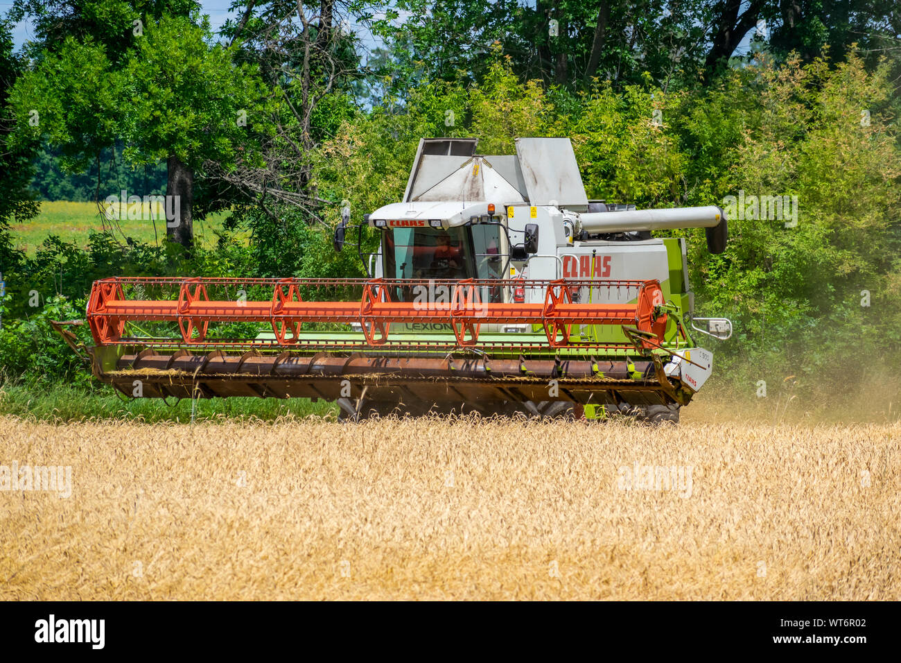 Region Kiew, Ukraine - Juli 6, 2019: Claas Lexion 480 Mähdrescher bei der Arbeit auf dem Weizenfeld kombinieren Stockfoto