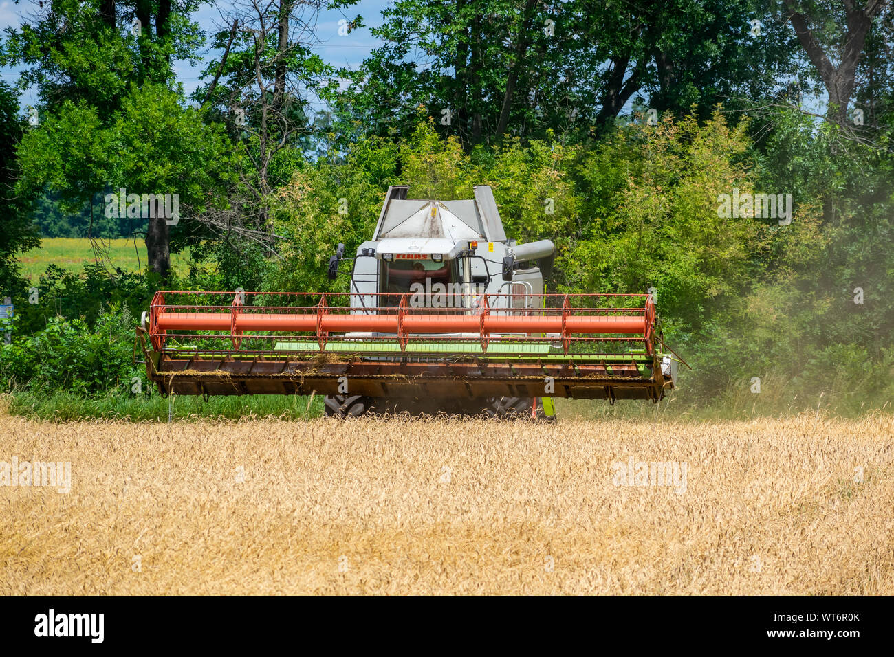 Region Kiew, Ukraine - Juli 6, 2019: Claas Lexion 480 Mähdrescher bei der Arbeit auf dem Weizenfeld kombinieren Stockfoto