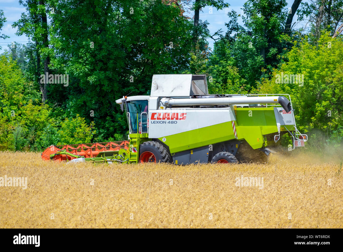 Region Kiew, Ukraine - Juli 6, 2019: Claas Lexion 480 Mähdrescher bei der Arbeit auf dem Weizenfeld kombinieren Stockfoto