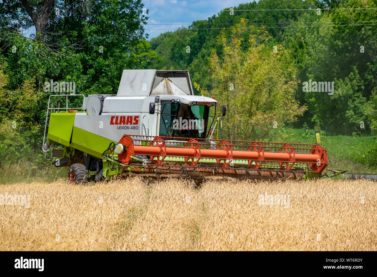 Region Kiew, Ukraine - Juli 6, 2019: Claas Lexion 480 Mähdrescher bei der Arbeit auf dem Weizenfeld kombinieren Stockfoto