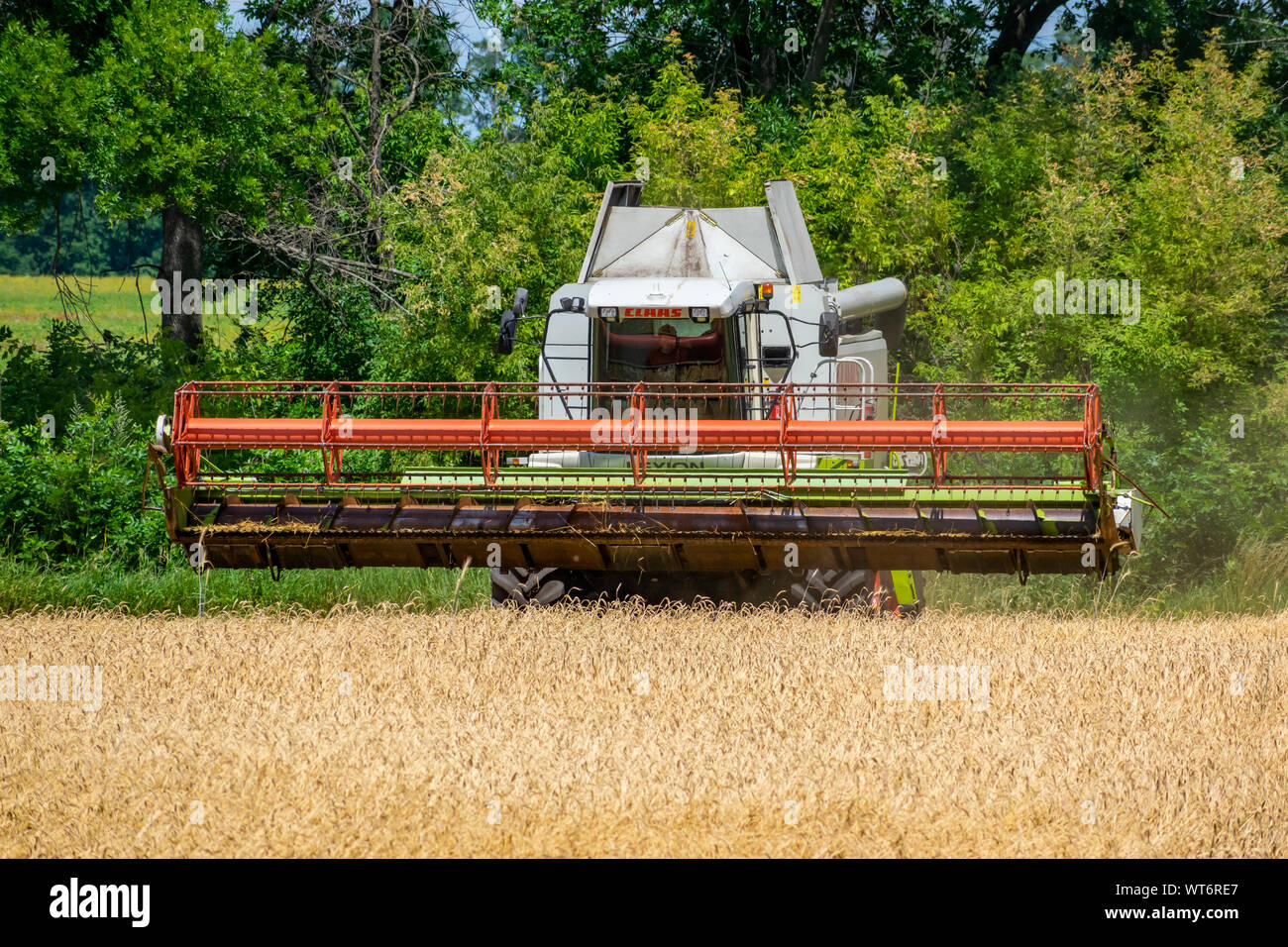 Region Kiew, Ukraine - Juli 6, 2019: Claas Lexion 480 Mähdrescher bei der Arbeit auf dem Weizenfeld kombinieren Stockfoto