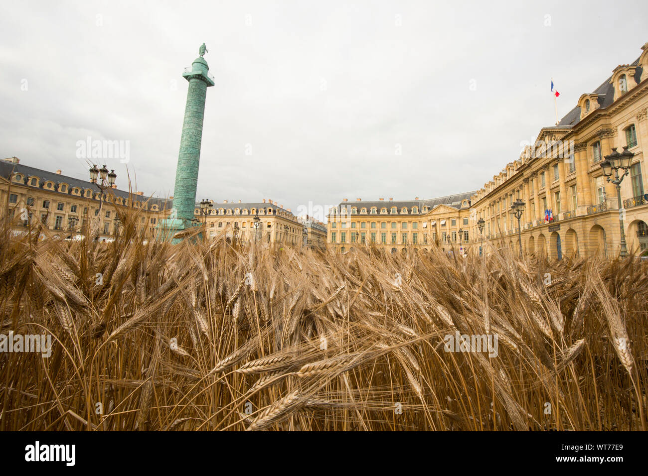 Eine Million Ähren gepflanzt Place Vendome, Paris Stockfoto