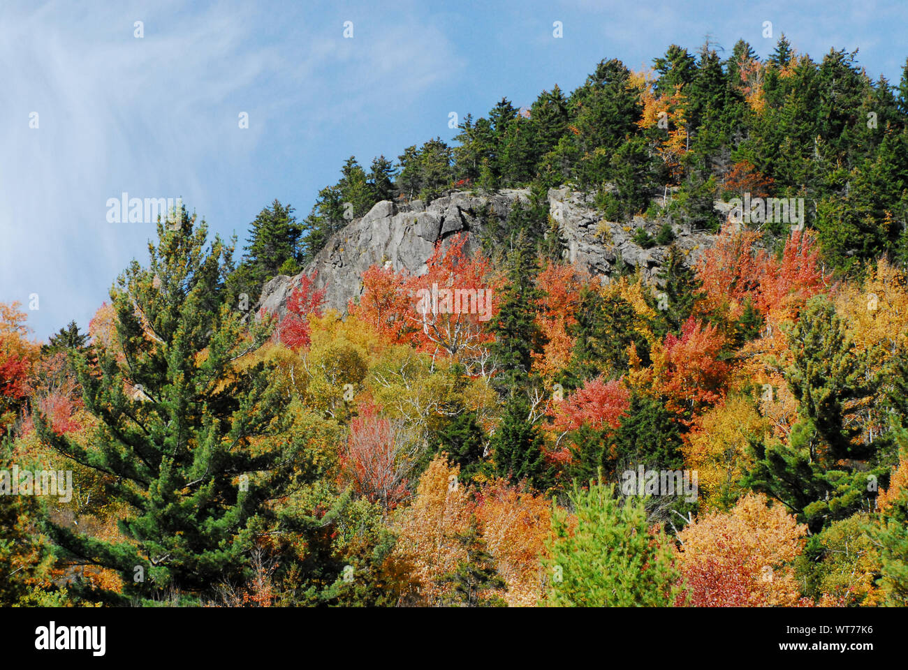 Im Staat New York Herbst schafft schöne kontrastierende Blatt Farben der Saison. Beachten Sie die Kopie Platz im Himmel. Stockfoto