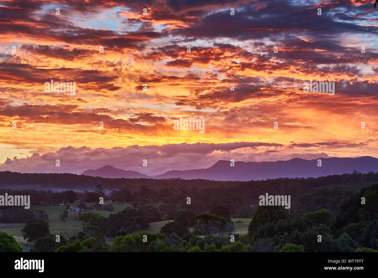 Die sonnen Licht auf Wolken reflektiert kurz nach Sonnenuntergang über einem Wald mit der Great Dividing Range im Hintergrund von Repton, NSW, Australien Stockfoto