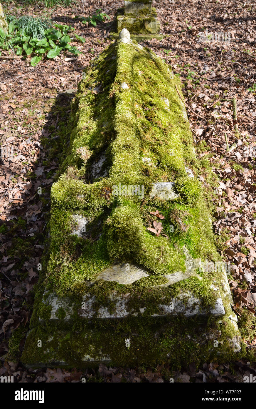Der St. Maria Kirche, Brome, Suffolk, England Stockfoto