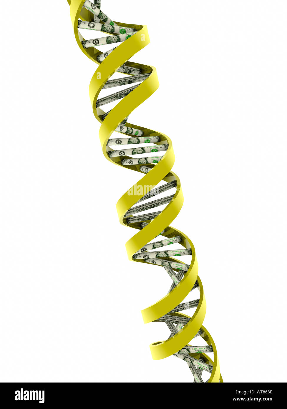 DNA-Doppelhelix strand Modell mit US-Dollar Stockfoto