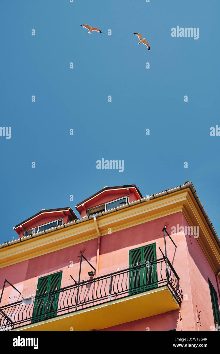 Sommer Ferienwohnung - bunt bemalten Haus und Möwen an der Küste von Imperia an der Italienischen Riviera im Sommer. Stockfoto