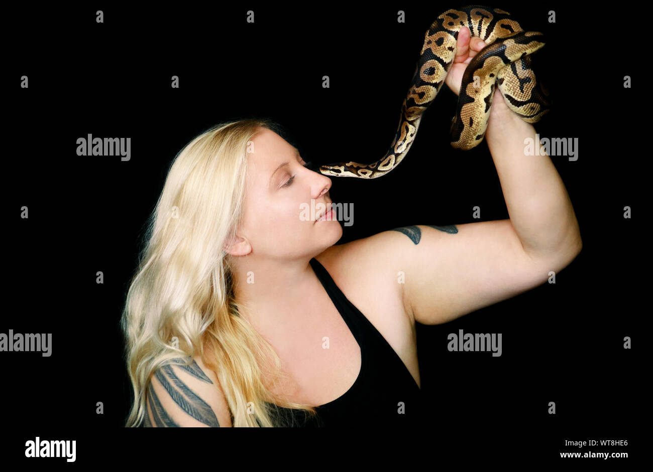 Portrait von Mädchen mit Royal Python Schlange. Schöne Frau hält Schlange in der Hand und vor der Kamera posieren. Exotischen tropischen kaltblütige Reptilien. Stockfoto