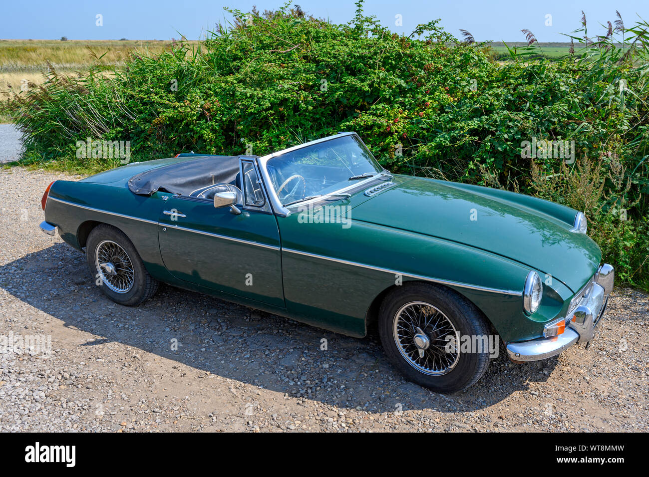 MG Roadster Oldtimer Stockfoto