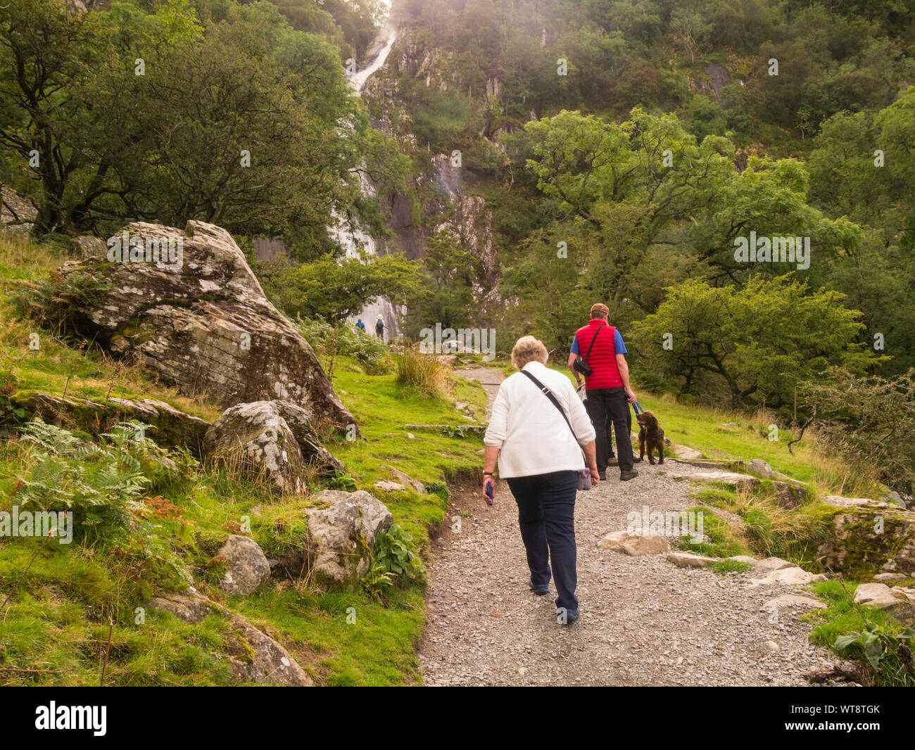 Der Mann und die Frau zu Fuß Spaniel hund Aber fällt Afon Rhaeadr Fawr in Coedydd Aber National Nature Reserve Abergwyngregn Gwynedd North Wales UK zu sehen Stockfoto