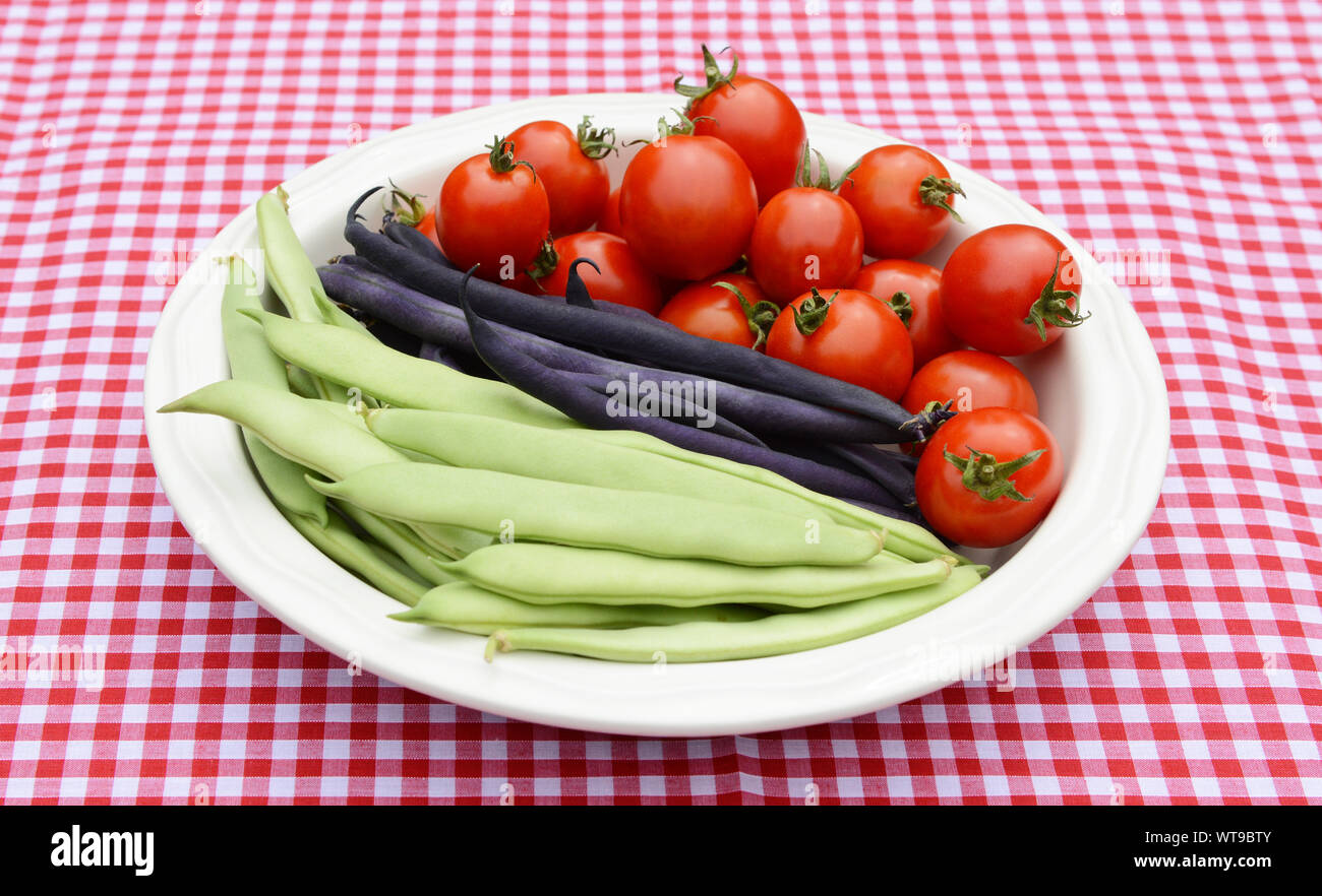 Grüne Yin Yang Bohnen, lila Bohnen und saftige rote Tomaten in einem runden weißen Teller auf einem roten karierten Tischtuch Stockfoto