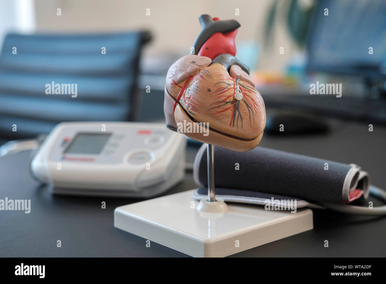 Das menschliche Herz und Blutdruck überwachen, Kardiologe parktice, Stockfoto