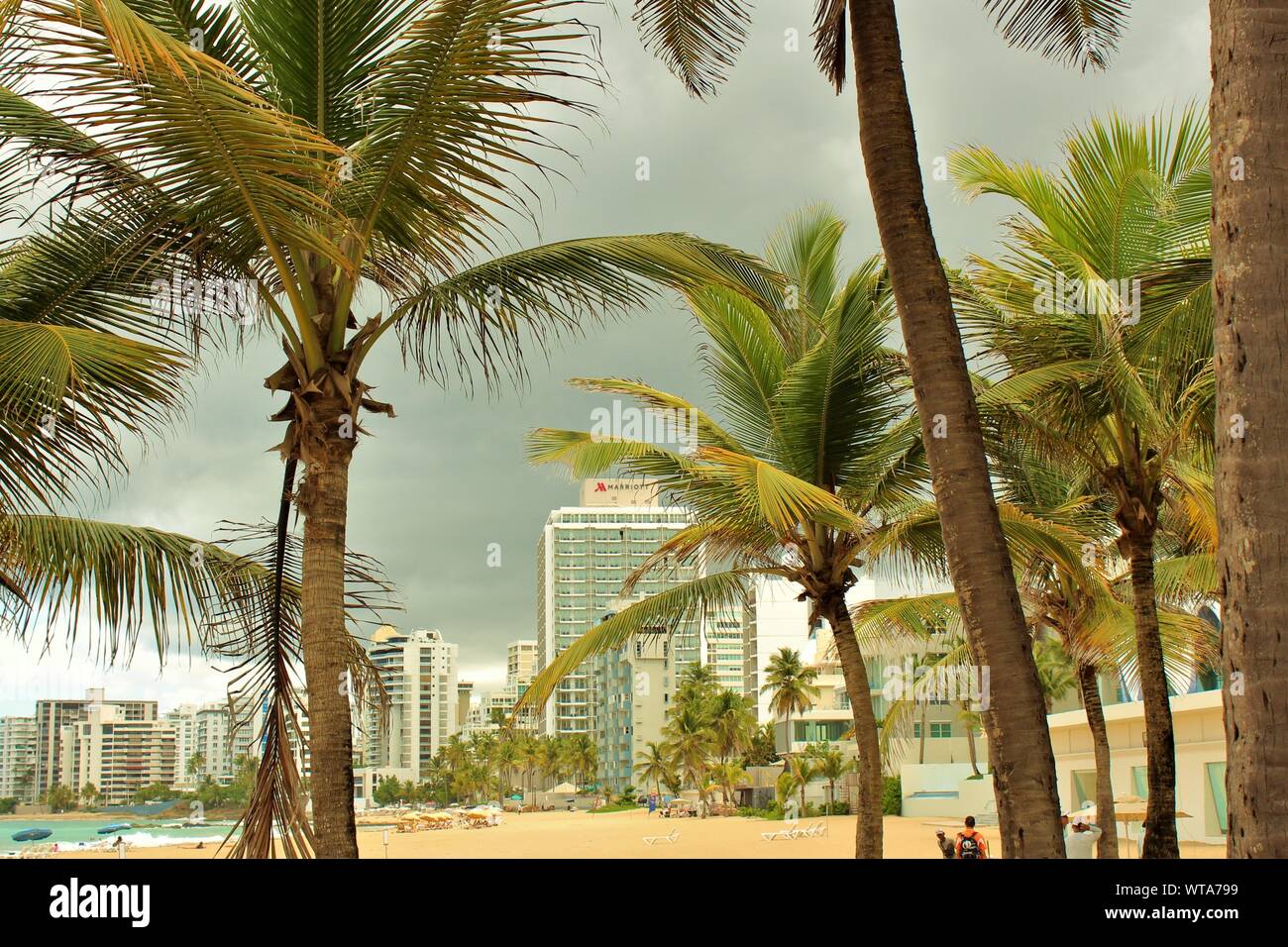 Blick auf die Condado öffentlichen Strand und San Juan Marriott Resort Beachfront Hotel, Ashford Avenue, Puerto Rico. Stockfoto