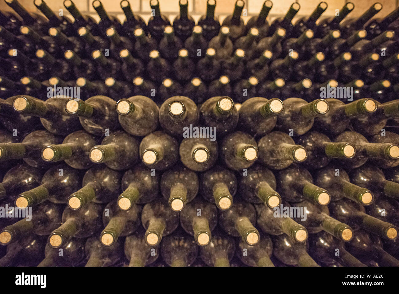 Die Weinflaschen in der Zeile Stockfoto