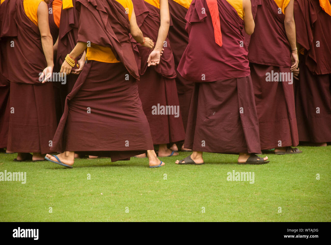 Gruppen von Mönchen in einem Gras Feld Stockfoto