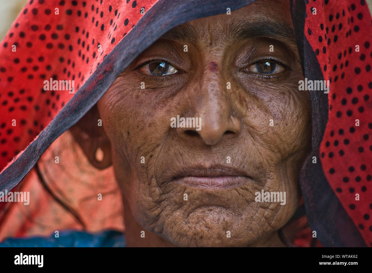 Rajasthan Frau in traditioneller Kleidung Stockfoto