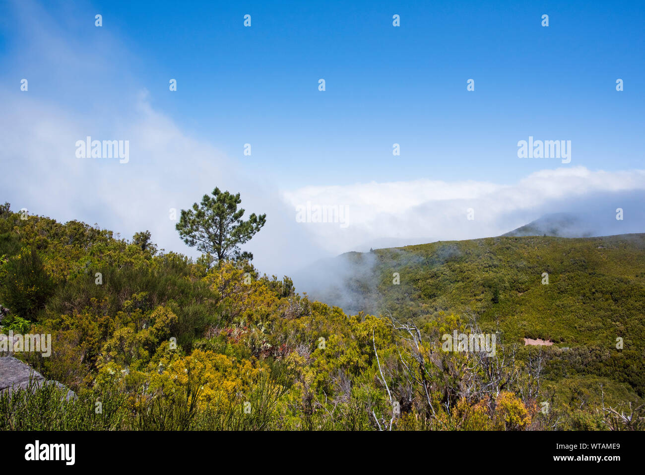 Wolken Eingreifen auf entfernten menschenleeren Landschaft hoch in der Zentralen Gebirgskette in Madeira Stockfoto