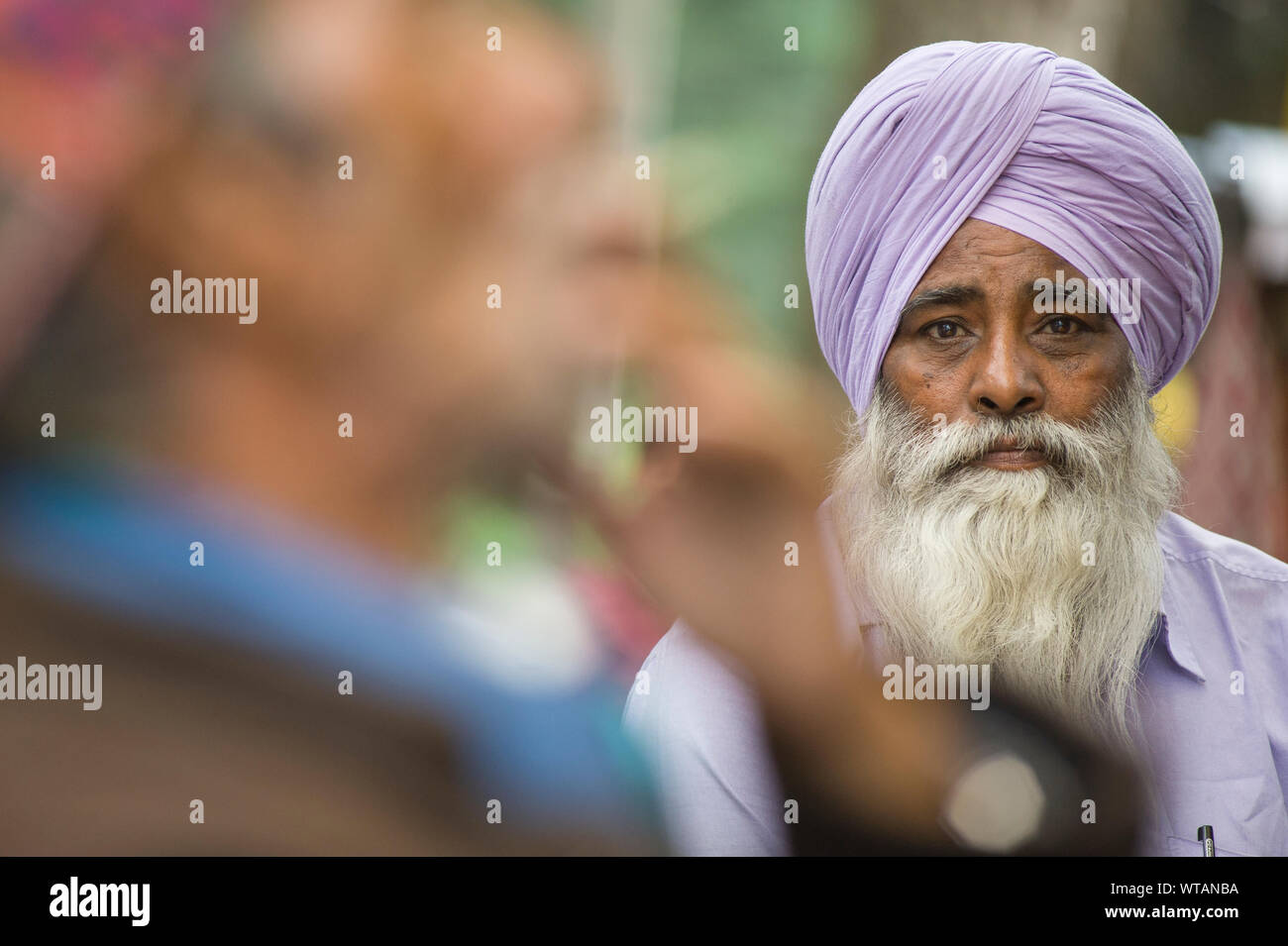 Hinduistischen Mann mit lila Turban und langen, weißen Bart Stockfoto