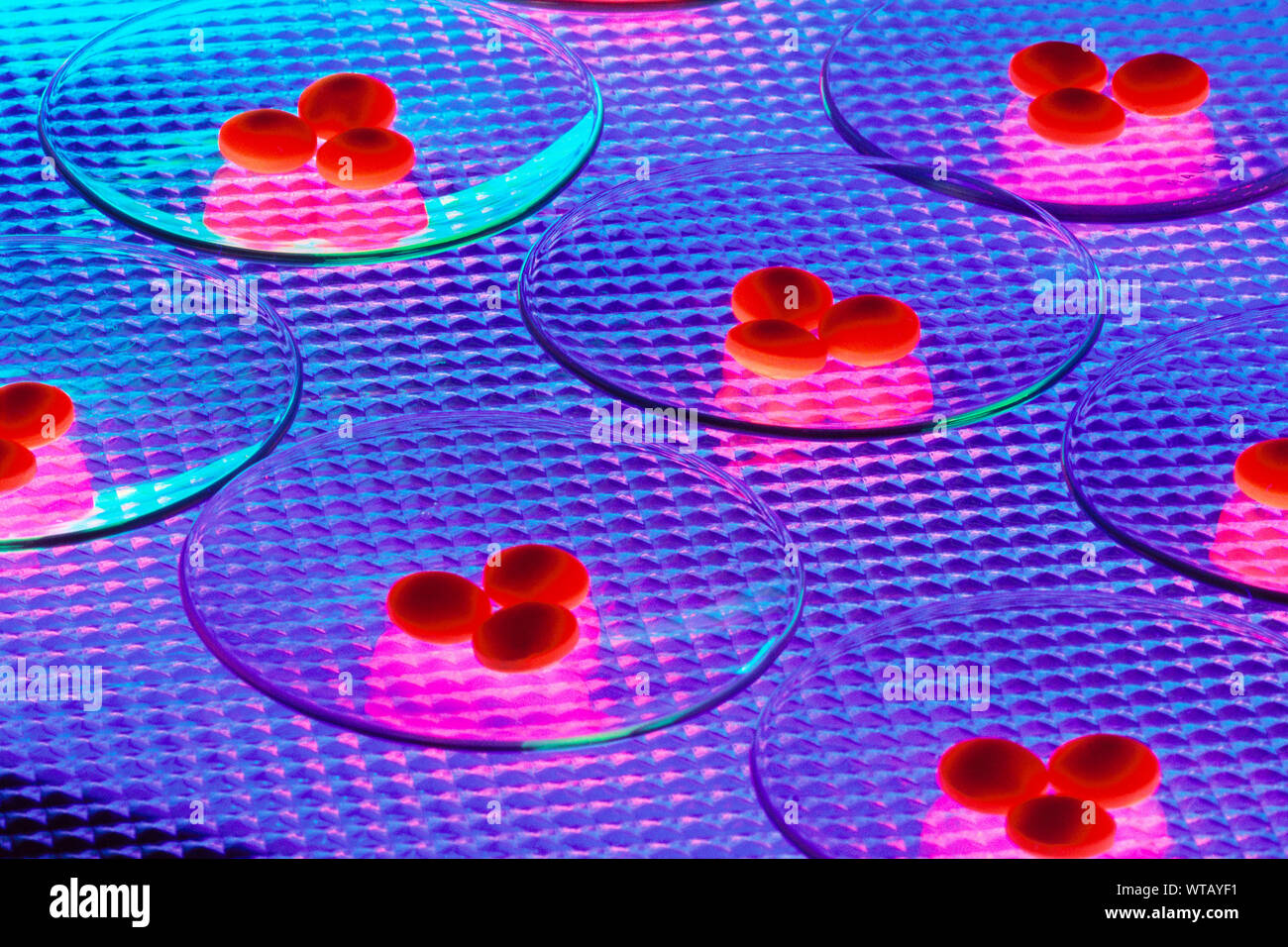 Pillen auf Petrischalen Stockfoto