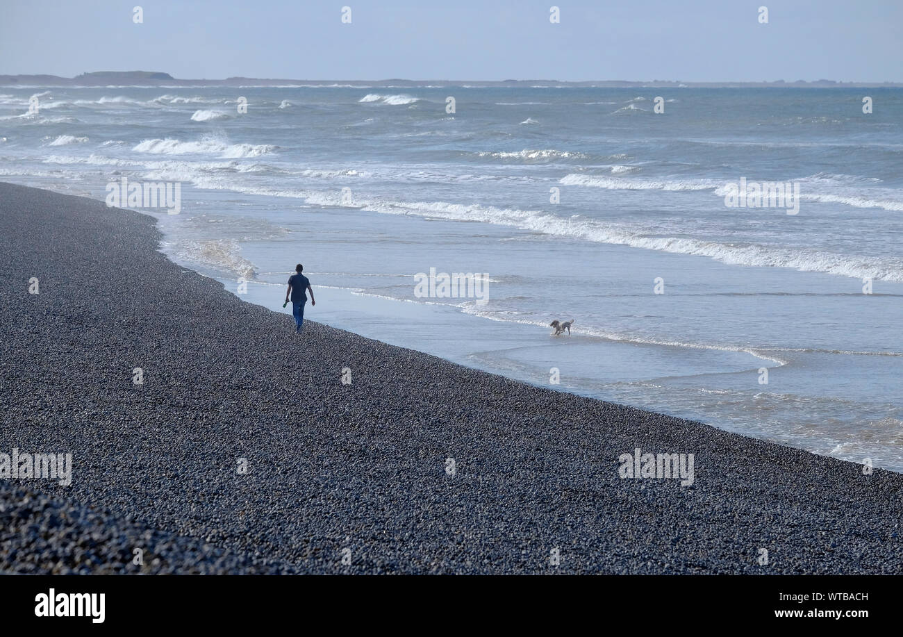 Person, Hund am Strand, sheringham, North Norfolk, England Stockfoto