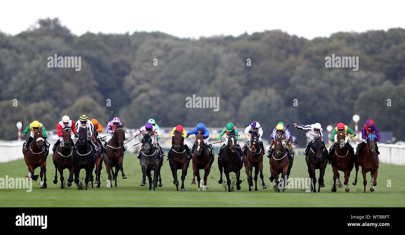 Läufer und Reiter im Parkes Bros Dachdecker Behinderung bei Tag einer der William Hill St Leger Festival in Doncaster Racecourse. Stockfoto