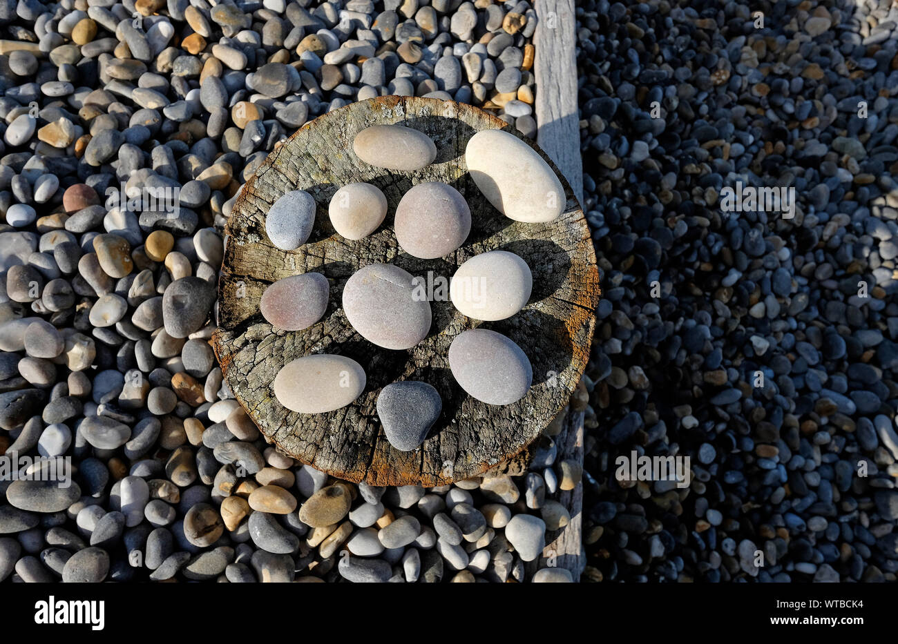 Kiesel auf verwitterte Holz groyne Post, sheringham, North Norfolk, England Stockfoto