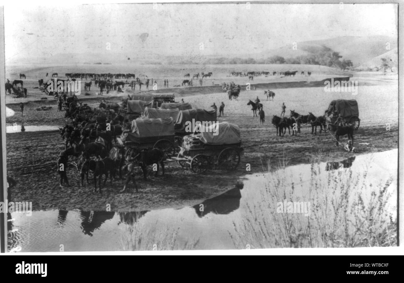 Mexiko - Kampagne gegen Villa - 1916. Eine Armee Kombi pack Zug am Rande von Las Cruces, Mexiko anreisen Stockfoto