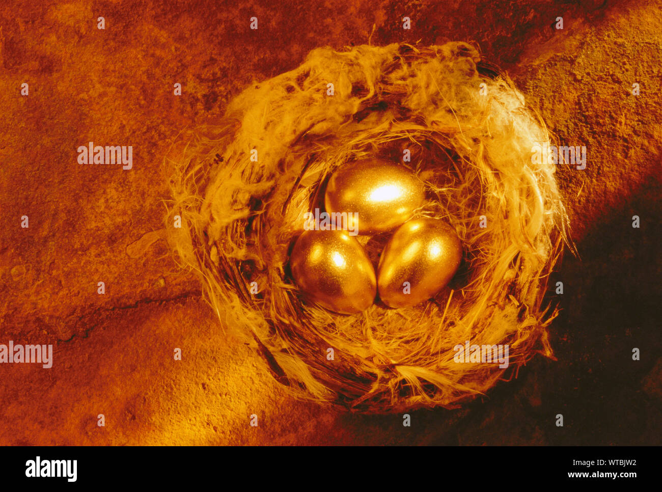 Goldene Eier in einem Nest Stockfoto