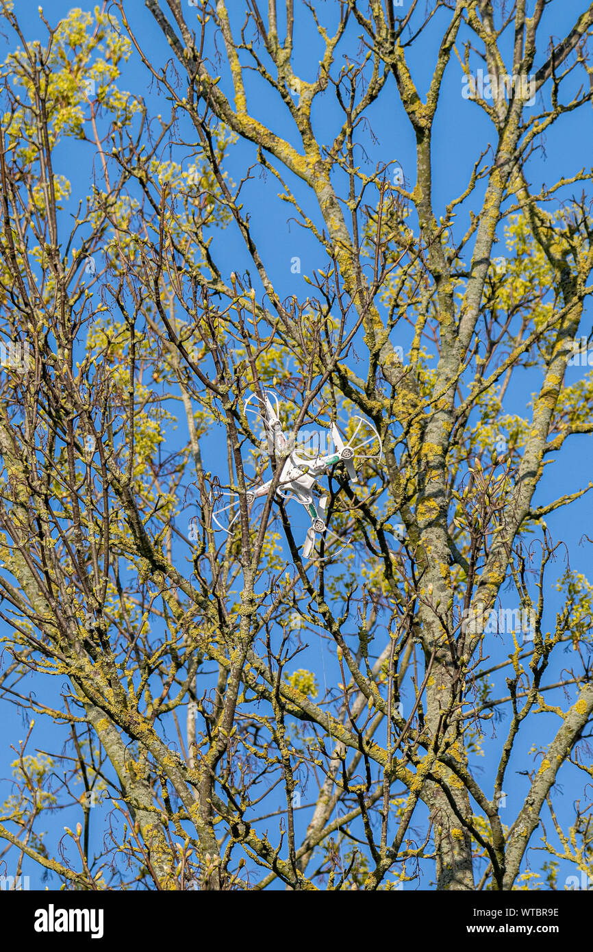 Fernbedienung drone in einem Baum verfangen Stockfoto