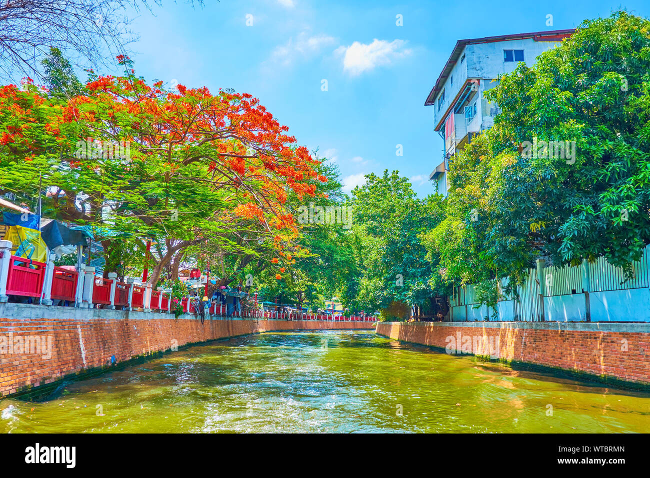 Die touristische Fähre schwimmt entlang der schmalen Bang Lamphu Khlong (Kanal), mit schäbigen Häuser und üppigen Gärten der Altstadt, Bangkok, Thailand gefüttert Stockfoto