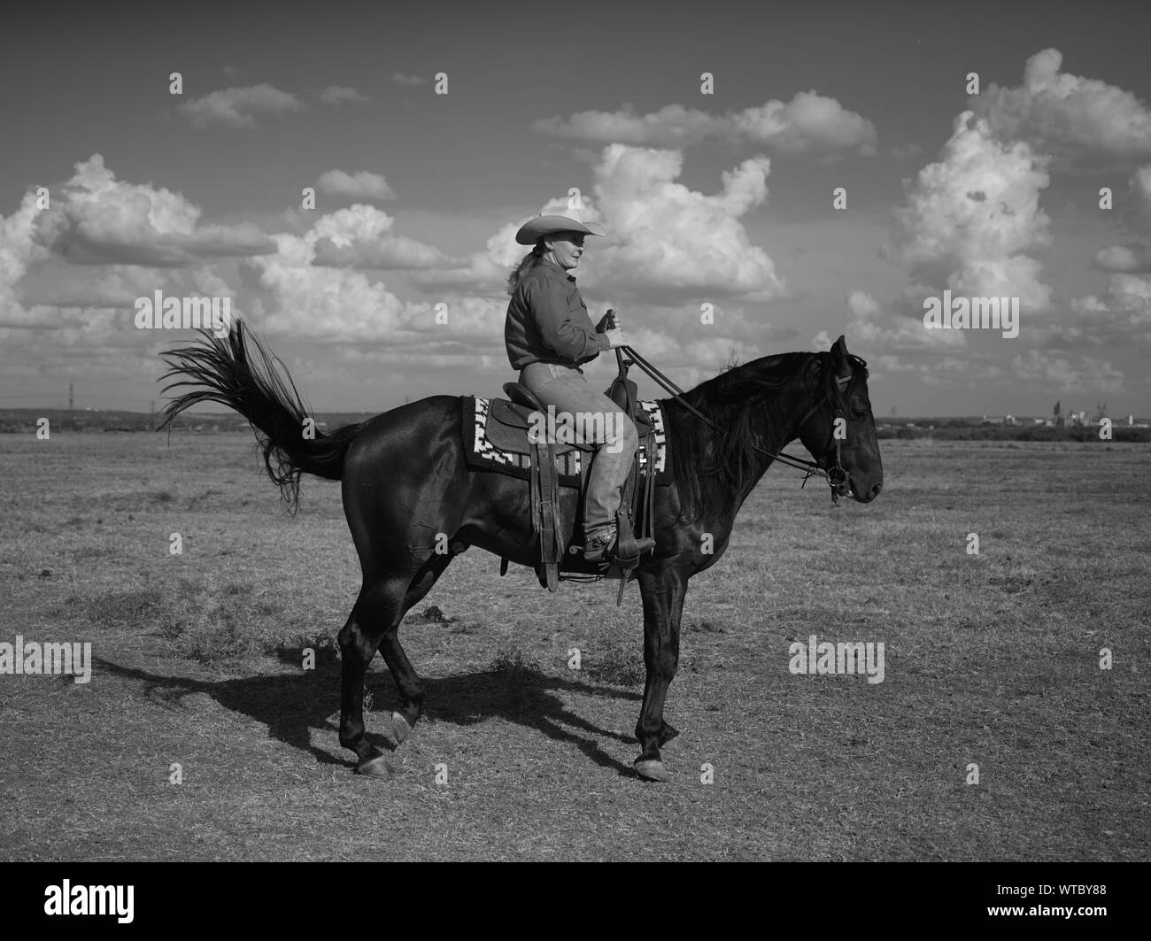 Michelle Cannon, Inhaber der Kanone Quarter Horse Ranch in der Nähe von Venus im Norden - zentrales Texas, verbringt viele Stunden jede Woche unter den Pferden Stockfoto