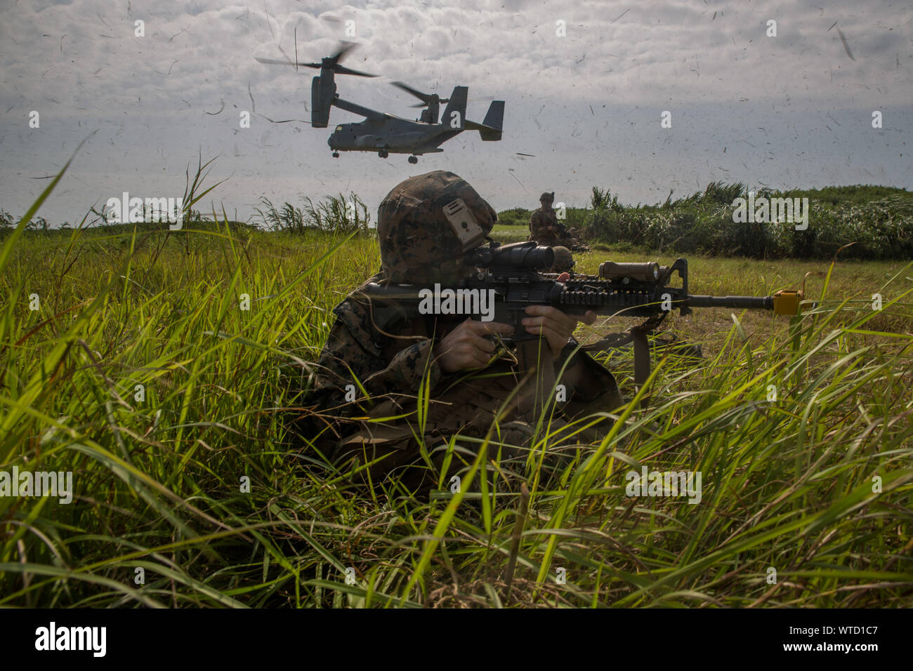 Ein Marine mit Echo Company, Bataillon Landung Team, 2.BATAILLON, 1 Marines, 31 Marine Expeditionary Unit, Beiträge Sicherheit während eines simulierten Flugplatz Beschlagnahme nach einem langen-Raid aus der Amphibisches Schiff USS Wasp (LHD 1) bei Ie Shima Ausbildungsstätte, Okinawa, Japan, 12.08.2019. Die 31. MEU und amphibische Squadron 11, an Bord der Wasp Amphibious Ready Gruppe Schiffe, führte eine Reihe von sequentiellen Operationen, die simulierten naval Expeditionary kombiniert - arme Manöver von Amphibischen Vermögenswerte zum Ufer, wobei Marine Air-Ground Task Force Fähigkeiten über alle integrierten warfight Stockfoto