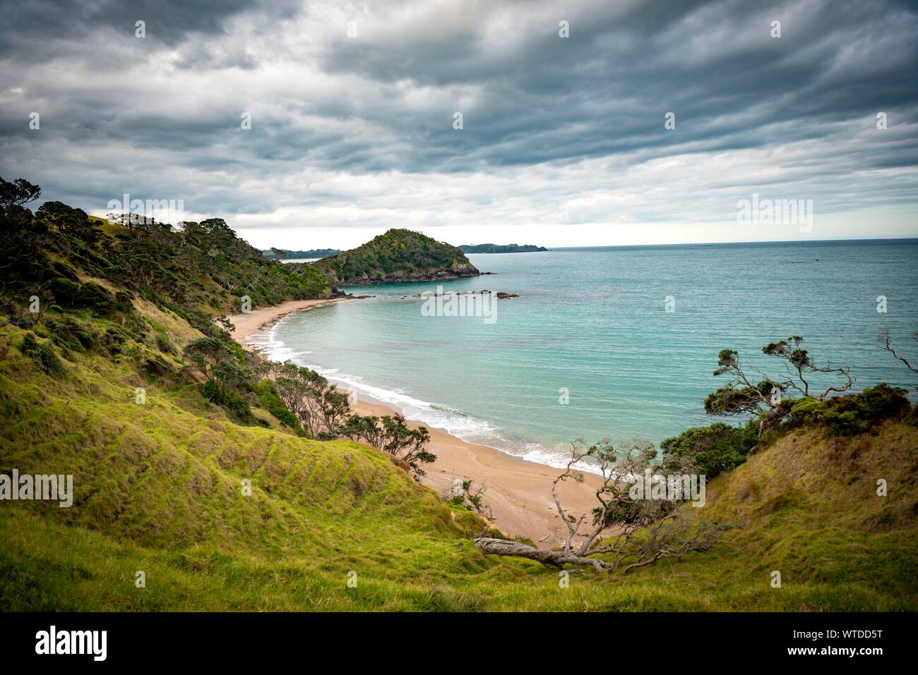Strand und Bucht Daisy Bay, Northland, North Island, Neuseeland Stockfoto