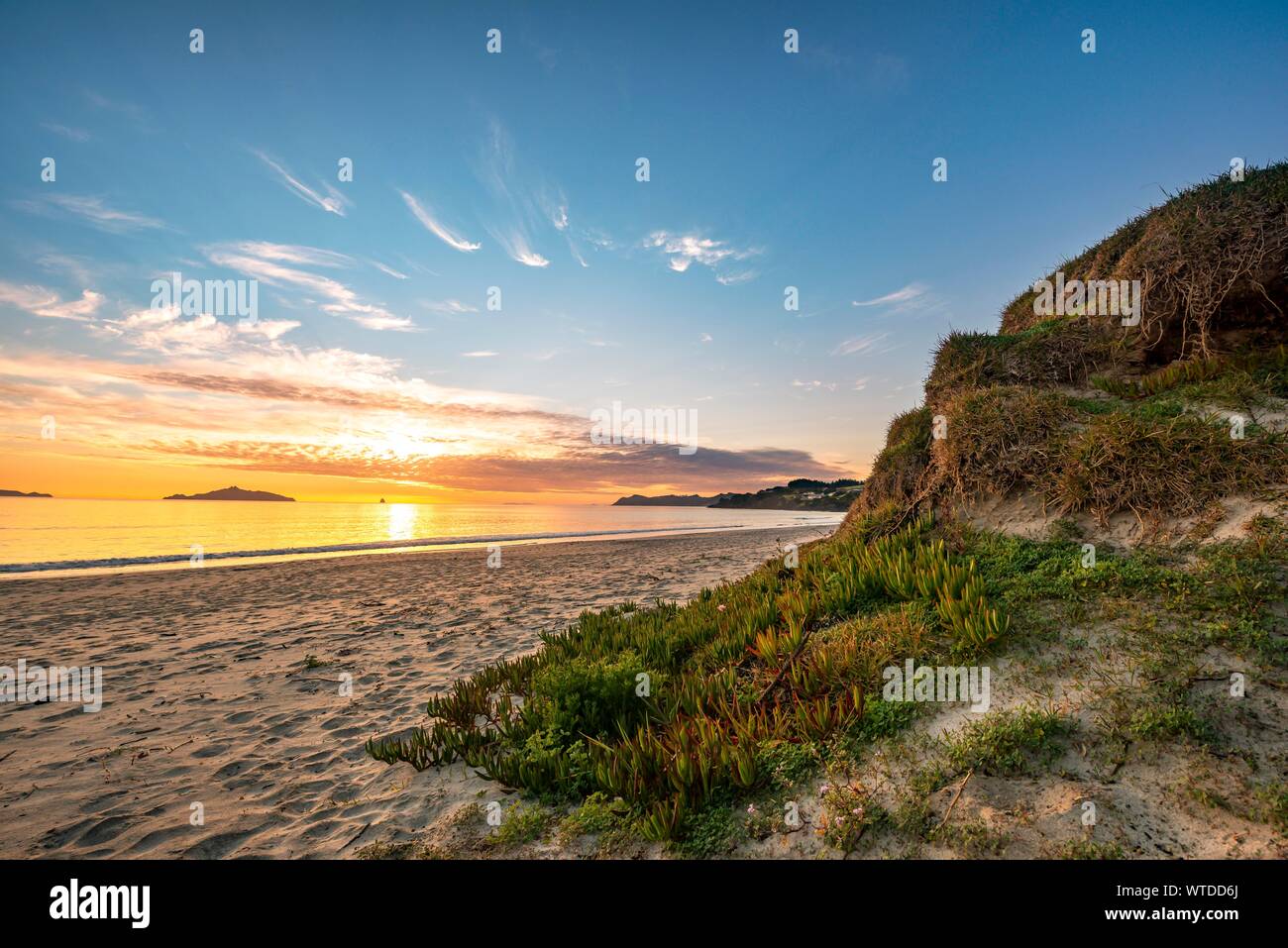 Strand Waipu Strand bei Sonnenaufgang, waipu Cove, Northland, North Island, Neuseeland Stockfoto