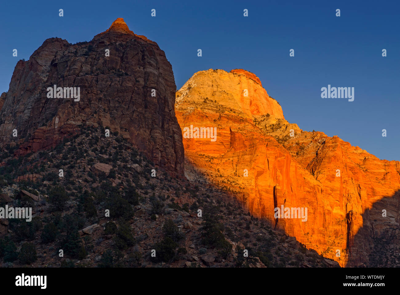 Alpenglühen auf Zion Canyon, Zion National Park, Utah, USA Stockfoto