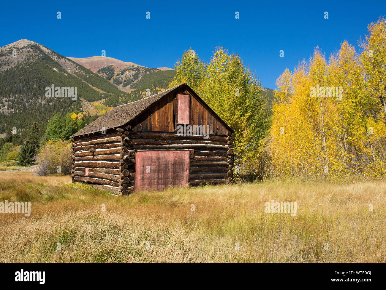 Blockhaus in den Rocky Mountains in der Nähe von Independence Pass, Colorado Stockfoto