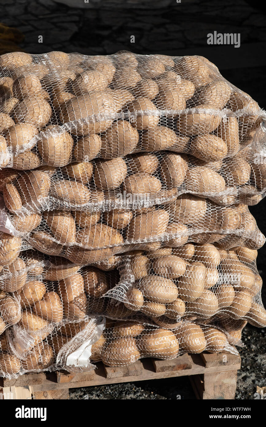 Frische Kartoffeln auf Mesh bag bei Farmers Market von Galicien, Spanien Stockfoto