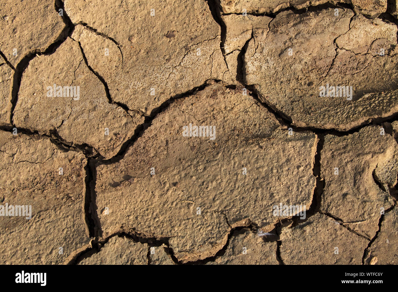 Risse im Schlamm Castro Marim Algarve Portugal Februar 2017 Stockfoto