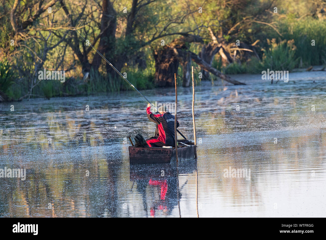 Fischer auf einem See in der Nähe von Nationalpark Kiskunsag Tiszaalpar Ungarn Juni 2017 Stockfoto