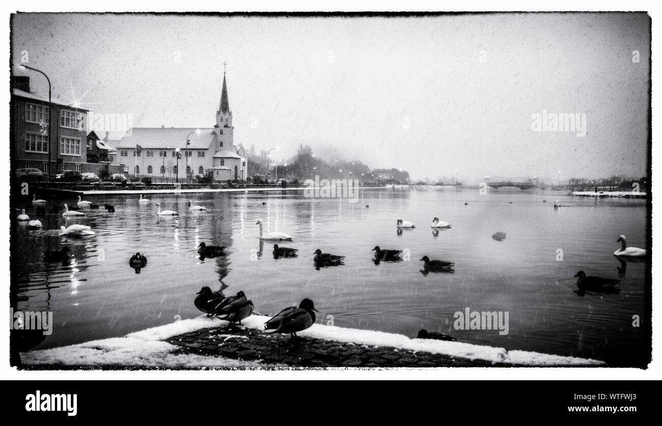 Reykjavik Pond Stockfoto