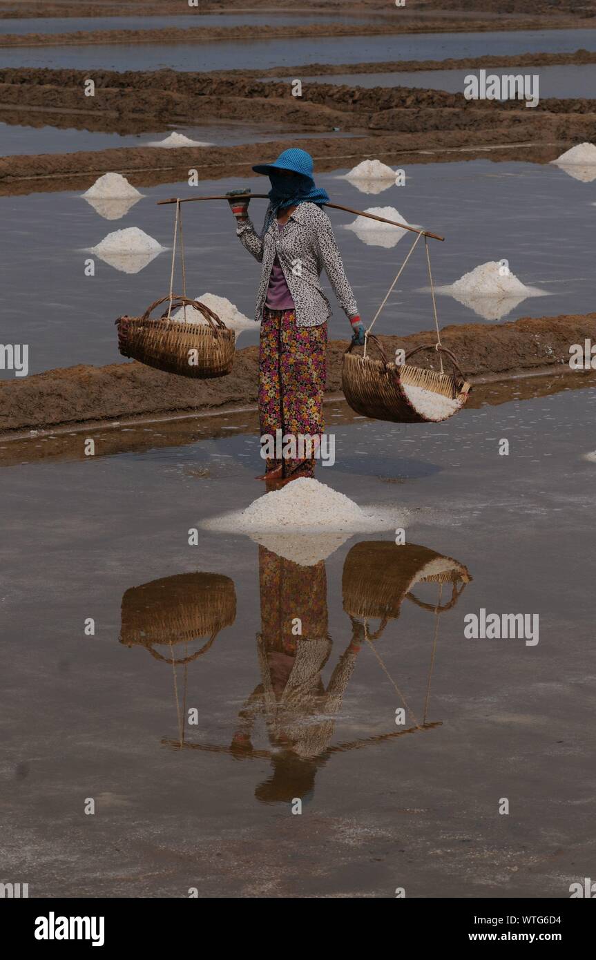 Reflexion von Salz Arbeiter tragen Rattankörbe beladen w/geerntete Salz durch die salzfelder, Kampot Province, Kambodscha. © kraig Lieb Stockfoto