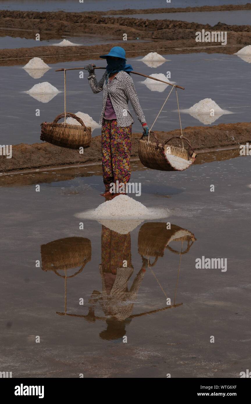 Reflexion von Salz Arbeiter tragen Rattankörbe beladen w/geerntete Salz durch die salzfelder, Kampot Province, Kambodscha. © kraig Lieb Stockfoto
